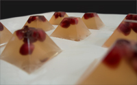 Pomegranate Sparkler Jelly Shot Pictured